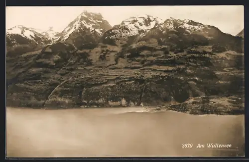 AK Wallensee, Seepartie aus der Vogelschau