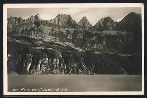 AK Mols, Wallensee mit Churfirsten