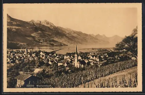 AK Wallenstadt, Ortsansicht mit Kirche und Blick zum See
