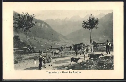 AK Toggenburg, Bauern treiben das Vieh zurück in den Stall, Abend im Gebirge