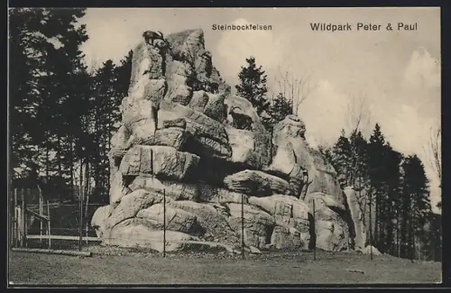 AK St. Gallen, Wildpark Peter und Paul, Steinbockfelsen