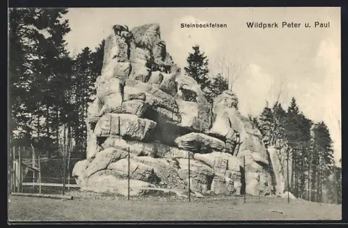 AK St. Gallen, Wildpark Peter und Paul, Steinbockfelsen