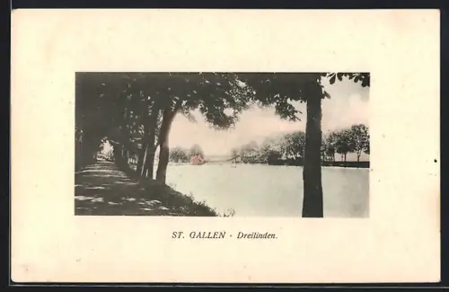 AK St. Gallen, Partie bei Dreilinden