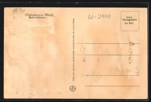 AK Oldenburg / Holstein, Blick in die Hohelufstrasse mit Villen