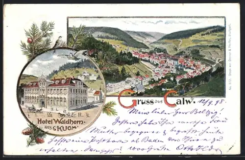 Lithographie Calw, Hotel Waldhorn, Ortsansicht