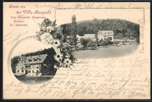 AK Eberstadt /Bergstrasse, Hotel Villa Bugwald Fr. Schneider