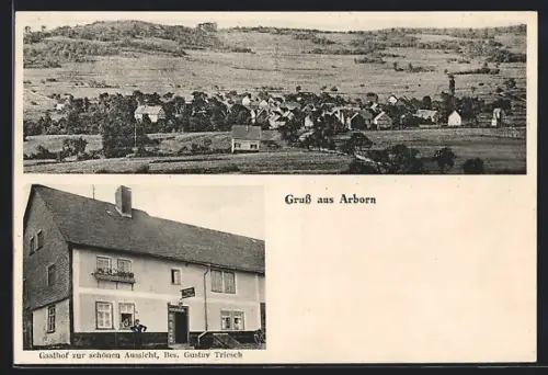 AK Arborn, Gasthof zur schönen Aussicht von G. Triesch, Ortsansicht
