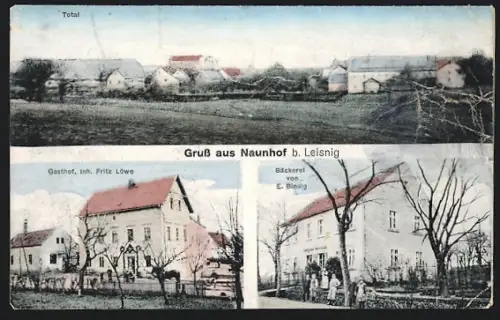 AK Naunhof b. Leisnig, Gasthaus von Fritz Löwe, Bäckereri von E. Bindig, Ortspanorama