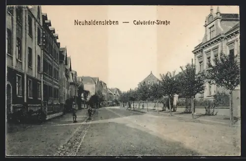 AK Neuhaldensleben, Blick in die Calvörder-Strasse