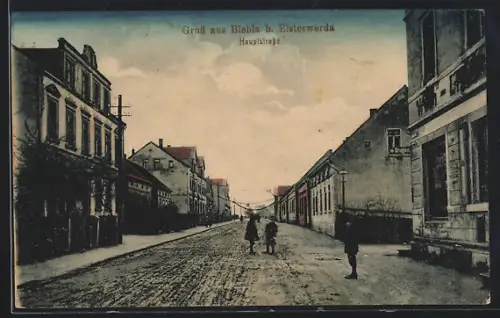 AK Biehla b. Elsterwerda, Partie in der Hauptstrasse