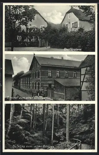 AK Waldeck / Thür., Gasthof zum alten Schloss, Oberförsterei