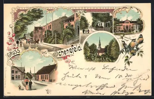 Lithographie Schenefeld / Steinburg, Strassenpartie, Ortsansicht, Kirche