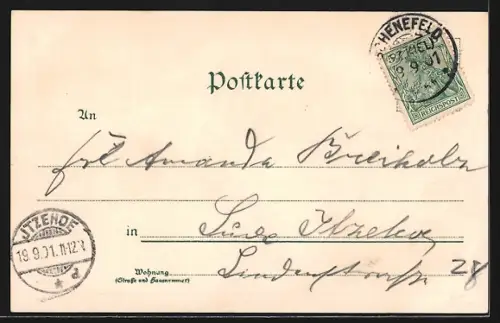 Lithographie Schenefeld / Steinburg, Strassenpartie, Ortsansicht, Kirche