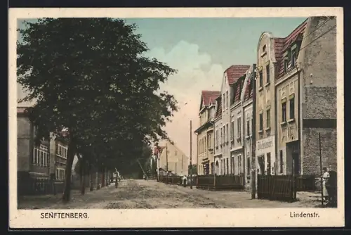 AK Senftenberg, Blick in die Lindenstrasse