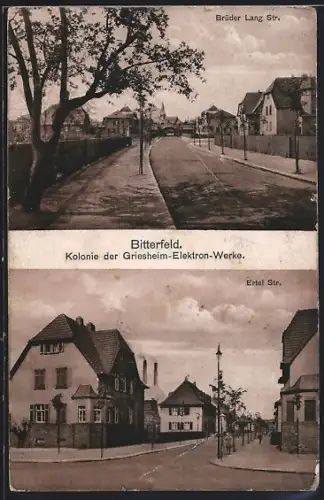 AK Bitterfeld, Kolonie der Griesheim-Elektron-Werke, Brüer Lang Strasse, Ertel Strasse