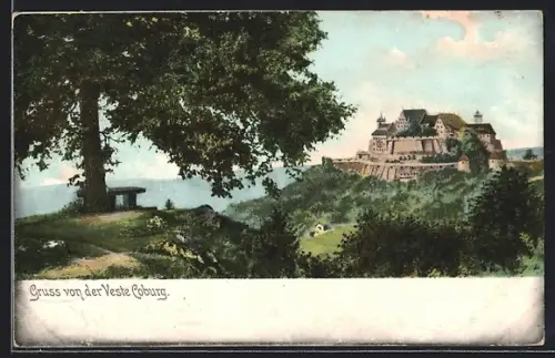 AK Coburg, Veste Coburg mit Eiche und Bank