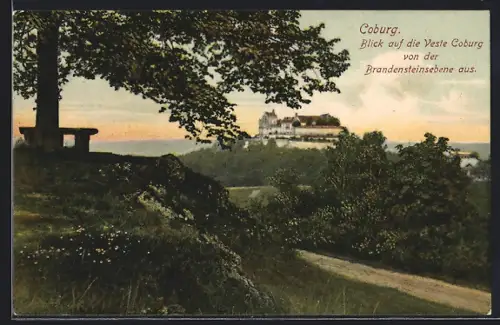 AK Coburg, Blick auf die Veste Coburg von der Brandensteinsebene