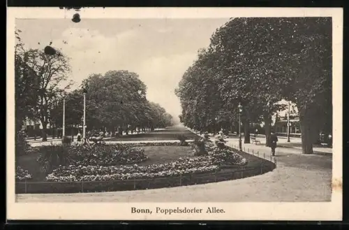 AK Bonn, Poppelsdorfer Allee