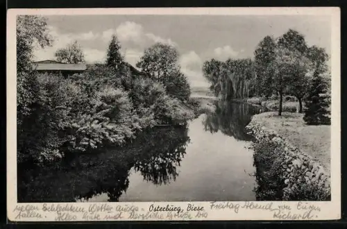 AK Osterburg, Biese