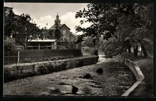 AK Ohrdruf /Thür., Partie an der Ohra, Flusslauf, Kirche, Bäume