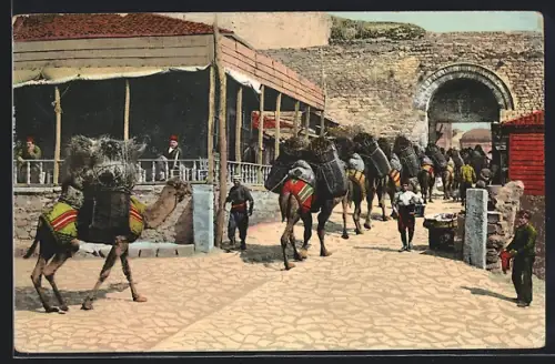 AK Constantinople, Les murailles terrestres de Stamboul