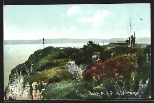 AK Torquay, Daddy Hole Plain