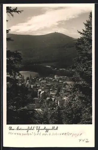 AK Ober-Krummhübl, Ortsansicht mit Schneekoppenblick