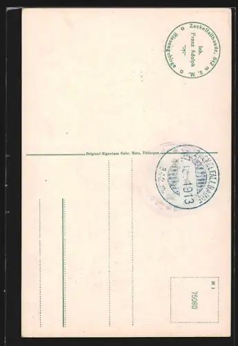 AK Zackelklamm /Riesengebirge, Besucher auf einem Holzweg