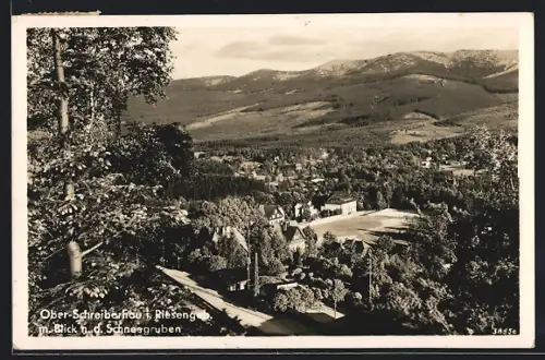 AK Ober-Schreiberhau i. Riesengebirge, Blick nach den Schneegruben