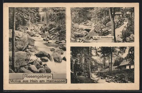 AK Hain am Hainwasser, An der Hainfallbaude, Waldpartie