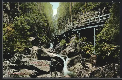 AK Schreiberhau /Riesengebirge, Partie in der Zackelklamm
