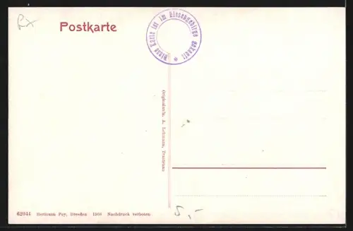 AK Schreiberhau /Riesengebirge, Partie in der Zackelklamm