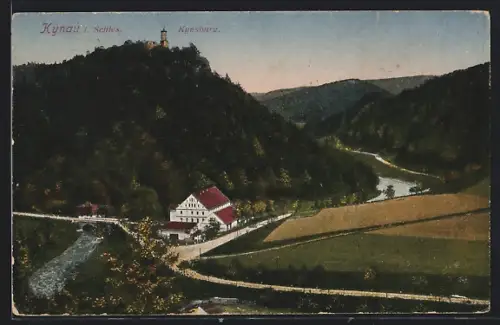 AK Kynau i. Schles., Blick zur Kynsburg