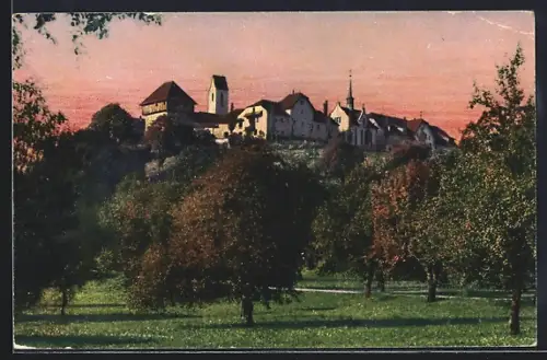 AK Hohenrain, Ortspartie mit Bäumen