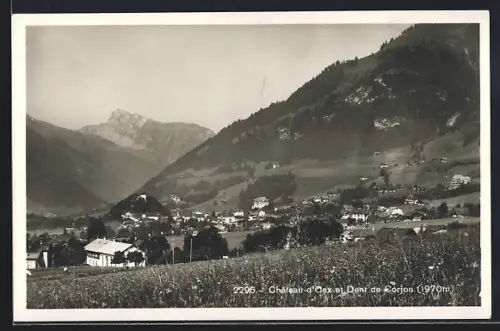 AK Château-d`Oex, Panorama et Dent de Corjon