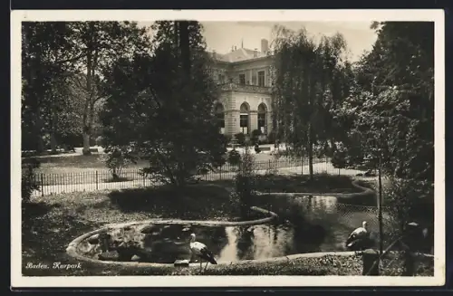 AK Baden, Kurpark mit Störchen