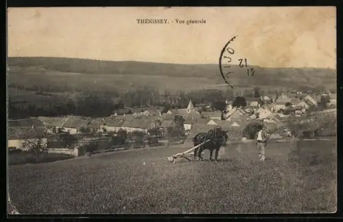 AK Thénissey, Vue générale