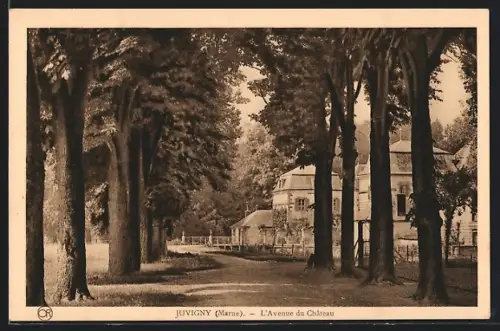 AK Juvigny /Marne, L`Avenue du Château
