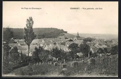 AK Cramant, Au Pays du Champagne, Vue générale, Côté Sud