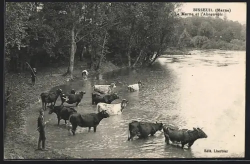 AK Bisseuil /Marne, La Marne et l`Abreuvoir