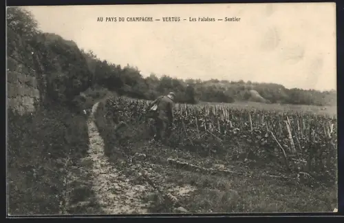 AK Vertus, Au Pays du Champagne, Les Falaises, Sentier
