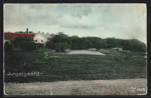 AK Jungetgaard, Panorama mit Pferden