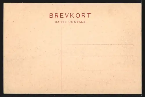 AK Bregentved, Blick zum Schloss