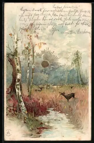 Sonnenschein-Lithographie Hirsch auf Lichtung