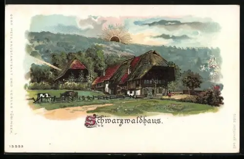 Sonnenschein-AK Schwarzwaldhaus mit Umgebung, Goldene Sonne