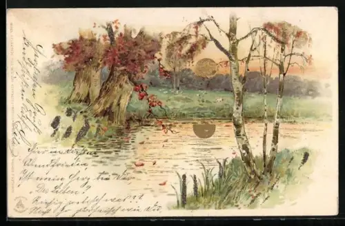 Sonnenschein-Lithographie Auenlandschaft mit Birken
