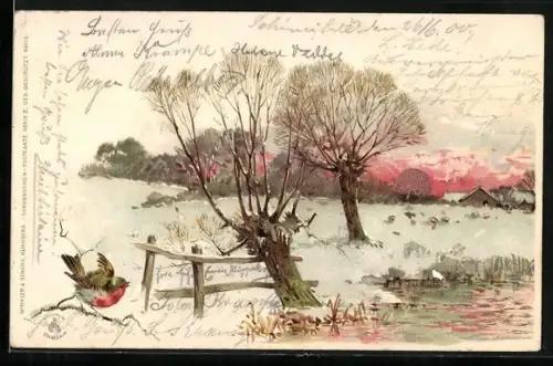 Sonnenschein-Lithographie Winteridyll mit Rotkehlchen