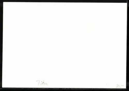 AK Kosmonaut Titow, Raumfahrt