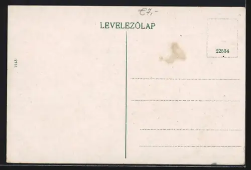 AK Pécs, Indóház utca, Strassenbahn