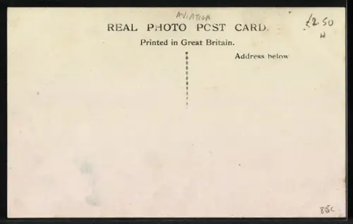 AK Zeppelin im Scheinwerferlicht